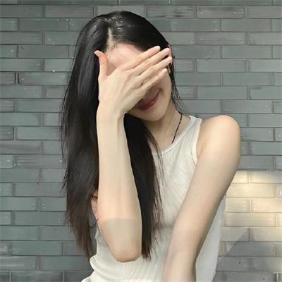 完美伴侣